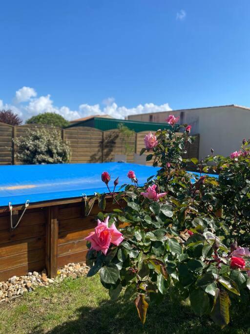 Jolie Petite Maison Renovee Piscine Сен-Пале-сюр-Мер Екстериор снимка
